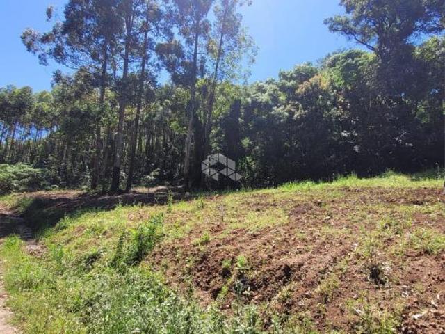 Terrenos à venda no bairro Planalto, Morro Reuter