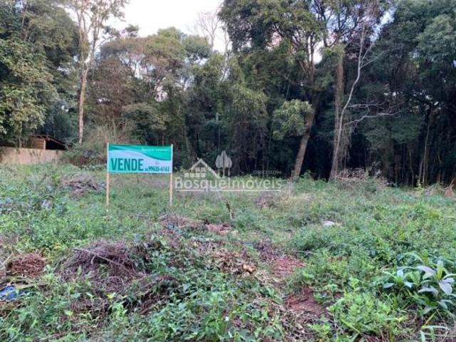 TERRENOS A VENDA NO BOSQUE LUCAS ARAÚJO