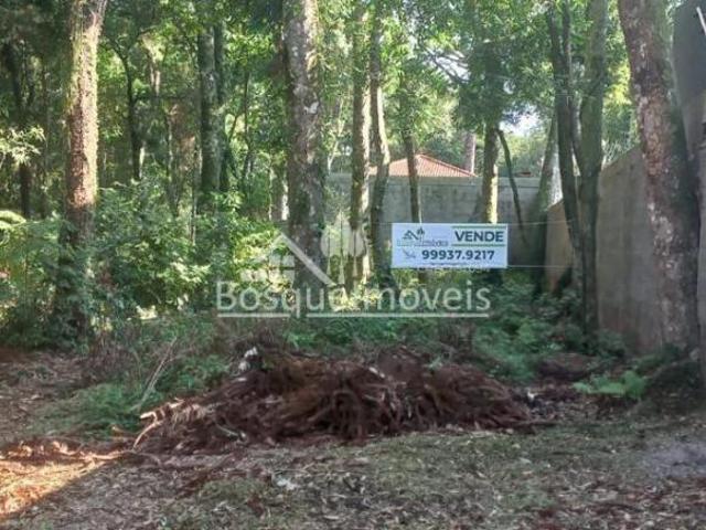 TERRENOS A VENDA NO BOSQUE LUCAS ARAÚJO