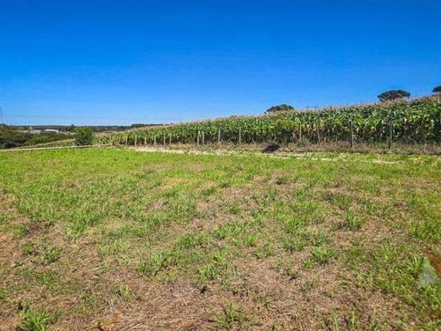 Terrenos à Venda em São José dos Pinhais