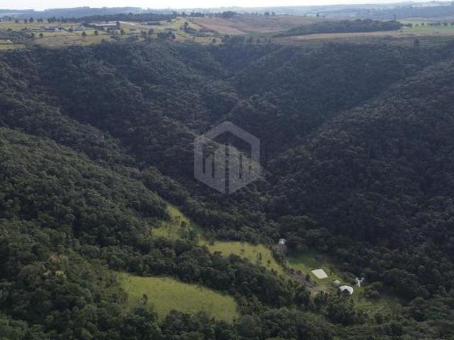 Terrenos à venda, 20.000m A partir de R 499.000,00 SAO LUIZ DO PURUNA PR