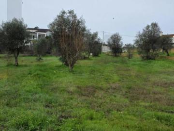 Terrenos Abrantes Abrantes DS102445449