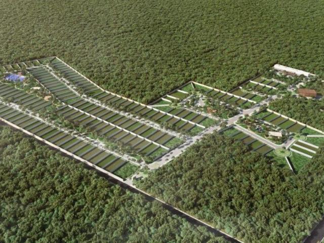 Terrenos al norte de M?rida, Santa Gertrudis Copo