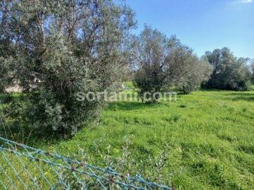 Terrenos Albufeira Faro DS101315289