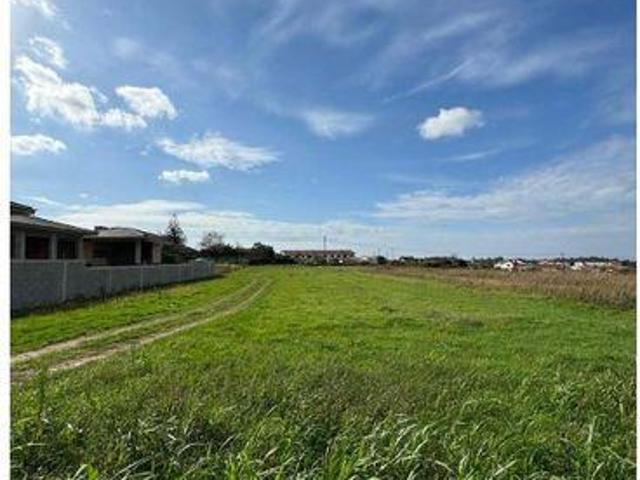 Terrenos Albergaria Aveiro DS90989878