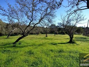 Brotual, São Sebastião, Loulé, Loulé, Distrito de Faro, Algarve