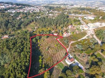 Terrenos Amarante Amarante 4605 456 DS95450395