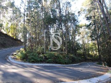 Terrenos Amarante Porto DS94668648