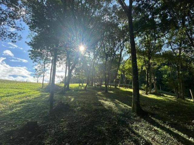 Terrenos Amplos a Venda Em Dois Irmãos
