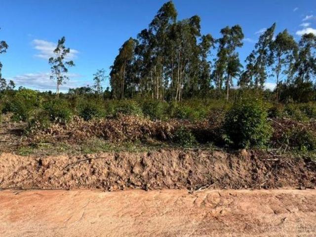 Terrenos Amplos em Condomínio Fechado no Interior de São Paulo