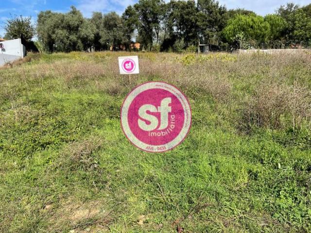 Terrenos Anadia Anadia DS95327647