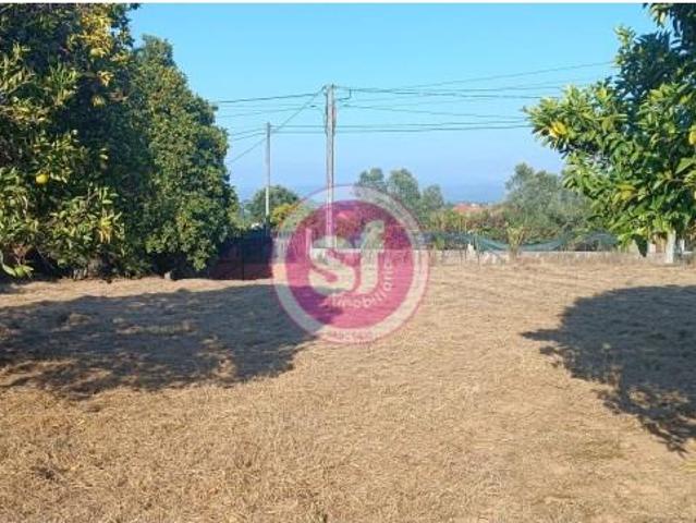 Terrenos Anadia Anadia DS97117811