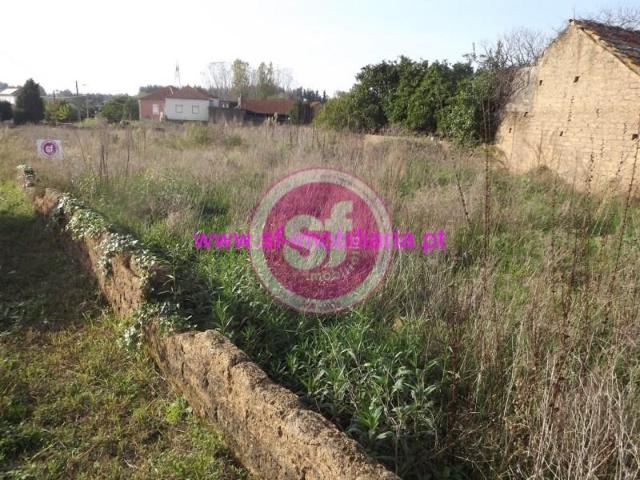Terrenos Anadia Anadia DS98437644