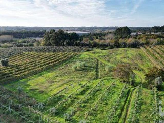 Terrenos Anadia Aveiro DS97113404