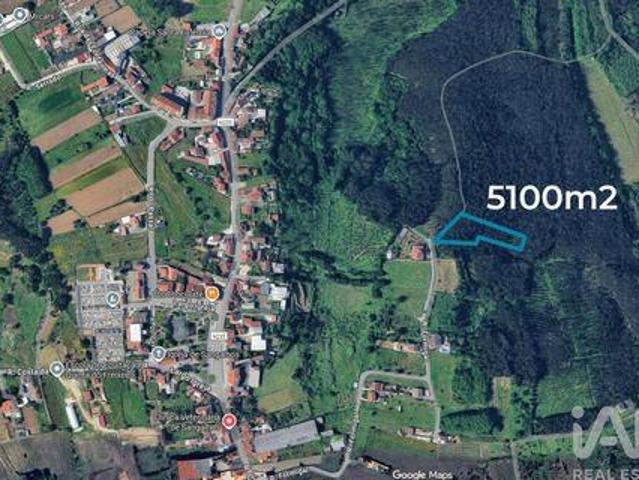 Terrenos Anadia Aveiro DS98150447