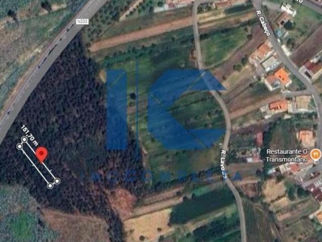 Terrenos Aveiro Águeda 3750 DS96649409