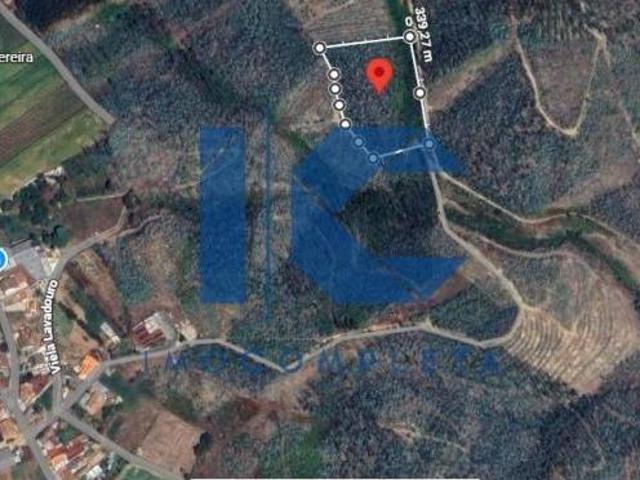 Terrenos Aveiro Águeda 3750 DS96649413