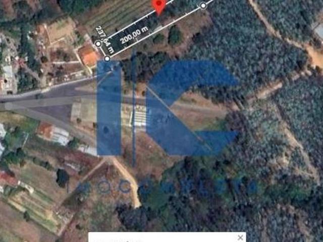 Terrenos Aveiro Águeda 3750 DS96649411