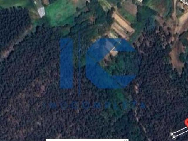 Terrenos Aveiro Águeda 3750 DS96649419