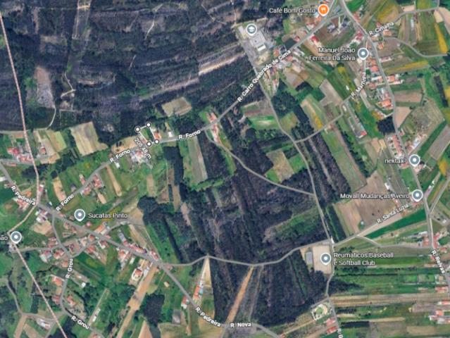 Terrenos Aveiro Oliveira do Bairro 3770 DS99223281