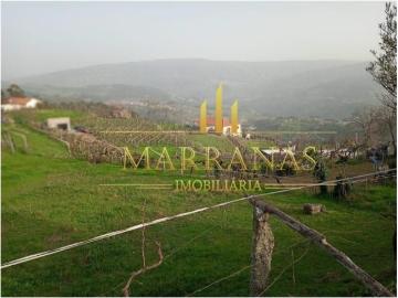 Terrenos Baião Baião DS97053416