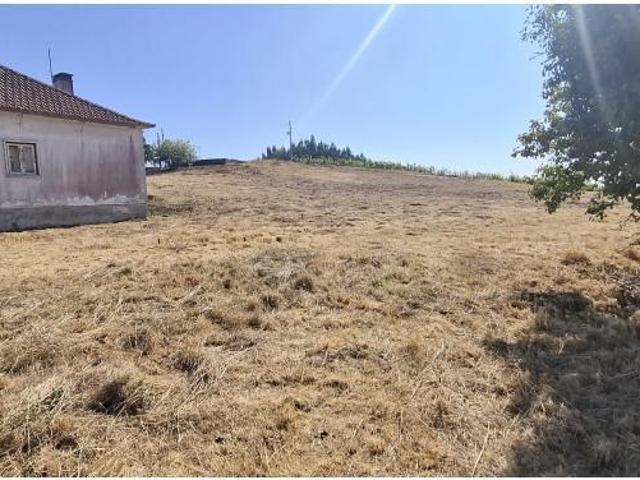 Terrenos Batalha Batalha 2440 DS87078281
