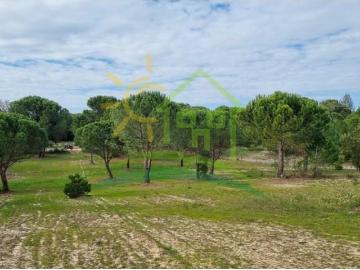 Terrenos Benavente Benavente 2130 000 DS93433474