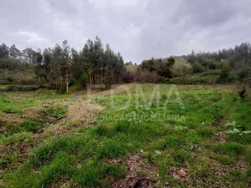Terrenos Braga Vila Nova de Famalicão 4770 DS98882972