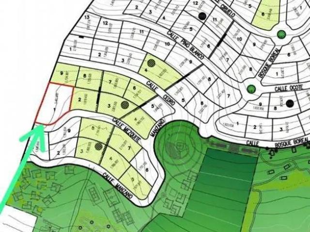 Terrenos Campestres Premium en Arteaga Coahuila | Precio Especial + Crédito a 8 Meses |Bosque Boreal