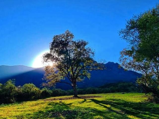 Terrenos Campestres en Venta en Montemorelos