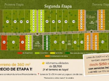 Terrenos campestres en Yucat?n con servicios listos de 2,000 m2 a 5,000 m2