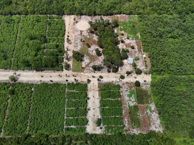 Terrenos campestres en Yucat?n con servicios listos de 2,000 m2 a 5,000 m2