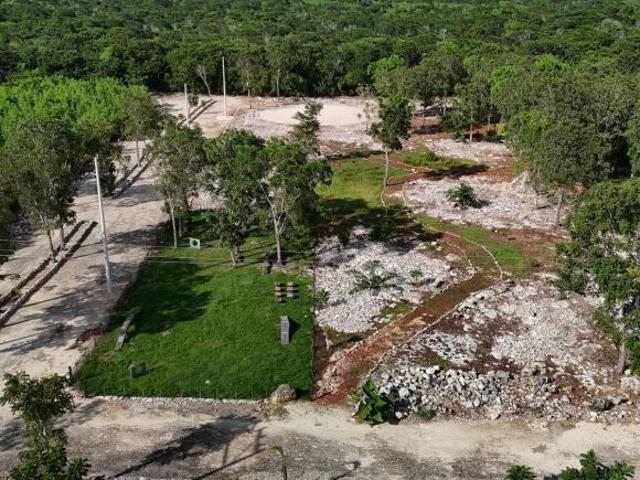 Terrenos campestres en Yucatán con servicios listos de 2,000 m2 a 5,000 m2
