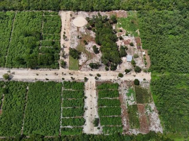 Terrenos campestres en Yucatán con servicios listos para construir