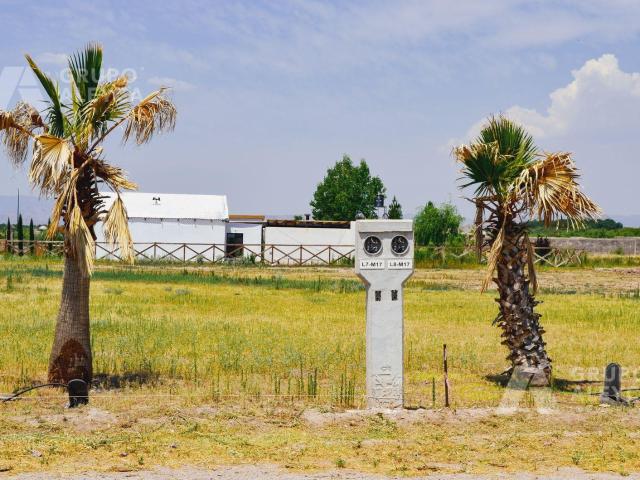 TERRENOS CAMPESTRES