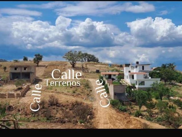 TERRENOS CAMPESTRES