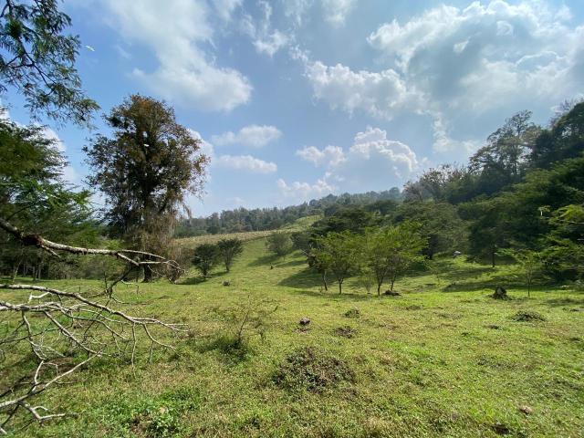 TERRENOS CAMPESTRES