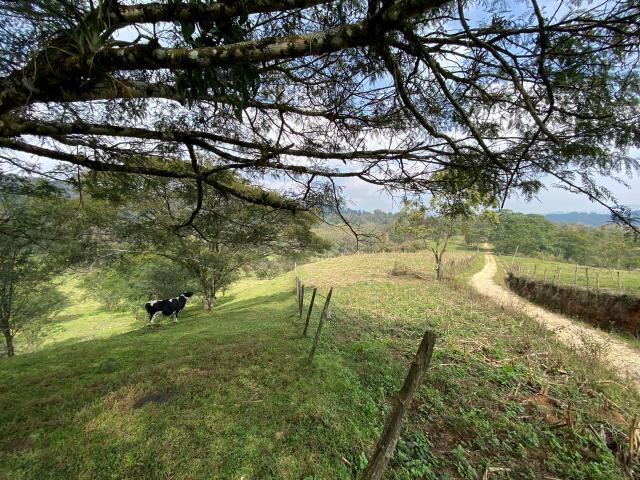 TERRENOS CAMPESTRES