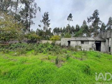 Terrenos Cantanhede Coimbra DS96891277