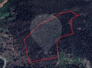Terrenos Cabeceiras De Basto Braga DS100020681