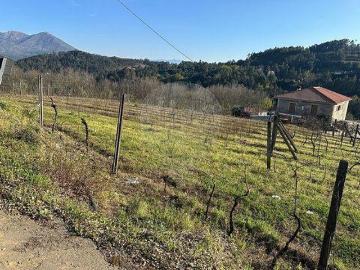 Terrenos Cabeceiras De Basto Braga DS101797295