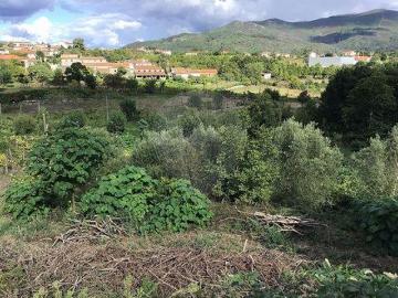 Terrenos Cabeceiras De Basto Braga DS94608676