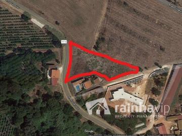 Terrenos Caldas da Rainha Caldas da Rainha DS95450597