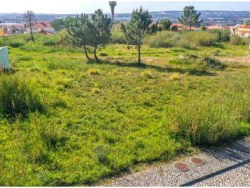 Terrenos Caldas da Rainha Leiria 2500 DS99888856