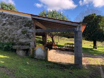Terrenos Carregal do Sal Carregal do Sal DS96174651