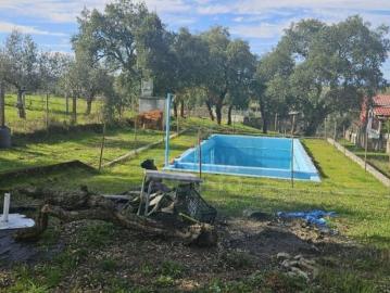 Terrenos Castelo Branco Castelo Branco 6005 DS99283368