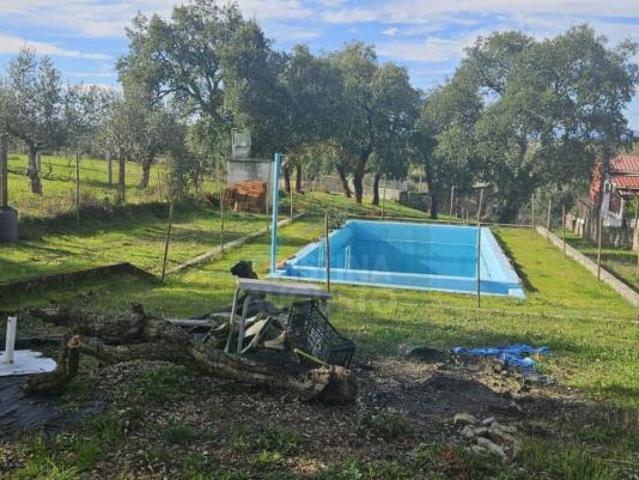 Terrenos Castelo Branco Castelo Branco 6005 DS99283368