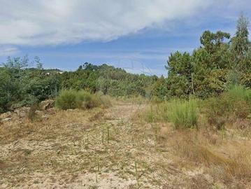 Terrenos Celorico De Basto Braga DS94608827