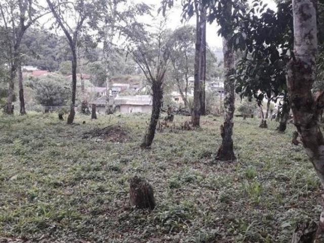 TERRENOS CHÁCARA ITORORÓ CIPO EMBU GUAÇU
