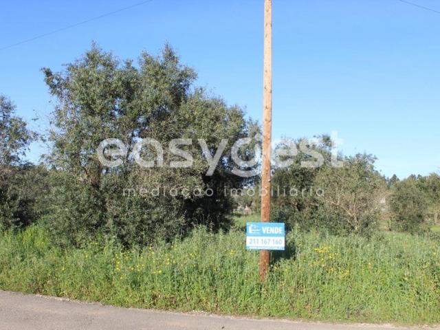 Terrenos com 10720 m2 na localidade Grou freguesia da Asseiceira